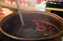 How Dog Insurance Saved My Dog's Life